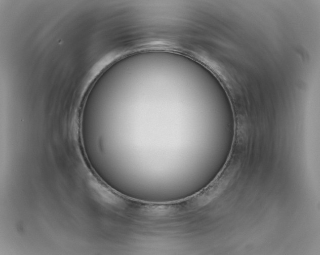 X0000111491474200907141228