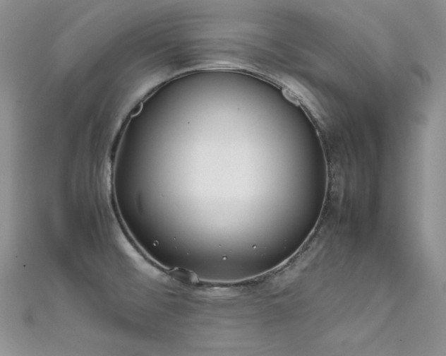 X0000111491476200907141228