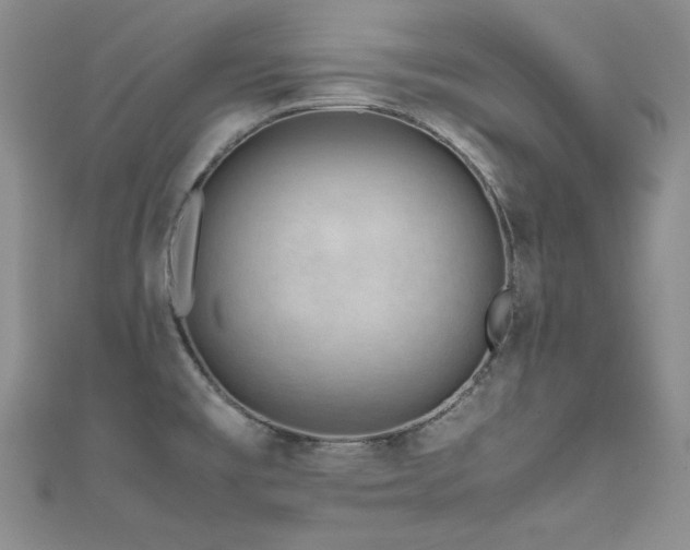 X0000111491477200907141228