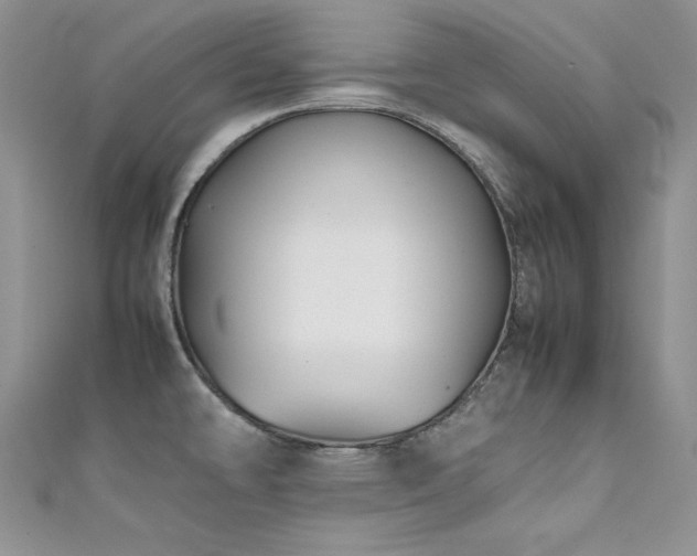 X0000111491478200907141228