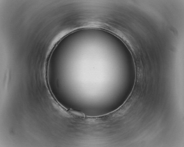 X0000111491480200907141228
