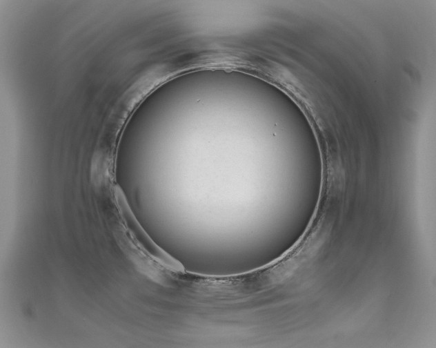 X0000111491481200907141228