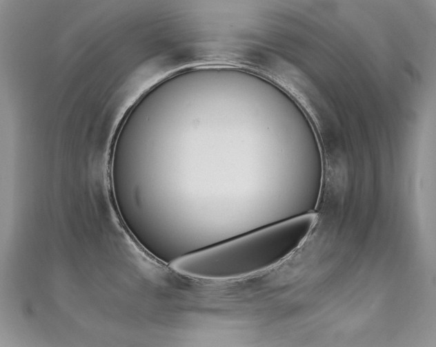 X0000111491485200907141228