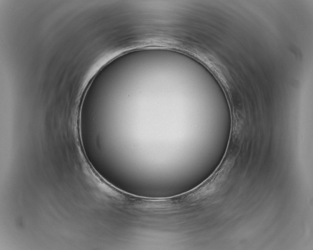 X0000111491486200907141228