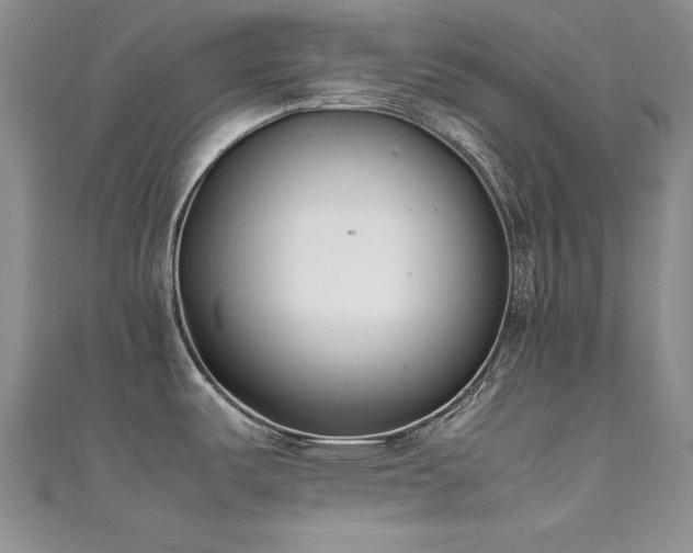 X0000111491487200907141228