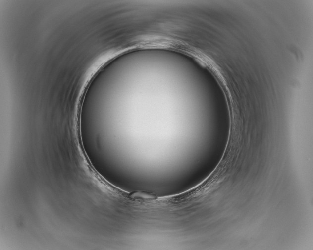 X0000111491488200907141228