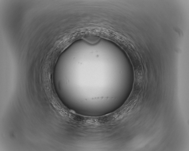 X0000111491489200907141227
