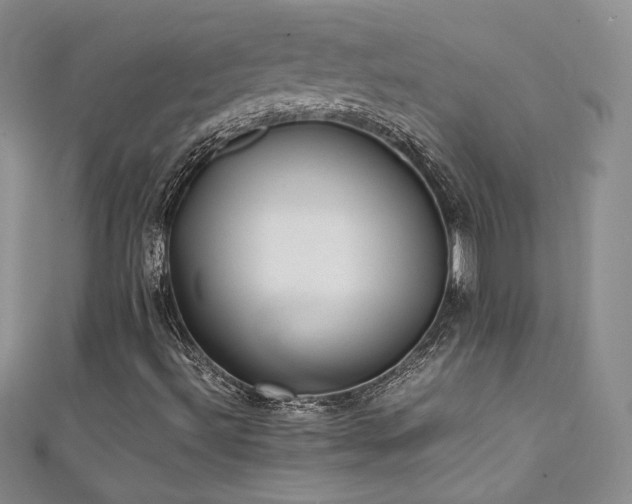 X0000111491492200907141227