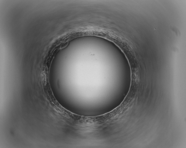 X0000111491493200907141227