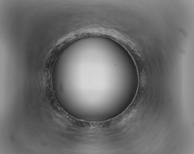 X0000111491494200907141227
