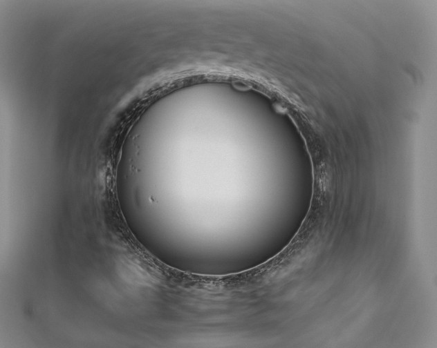 X0000111491495200907141227