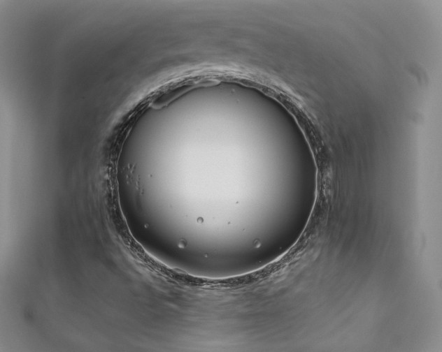X0000111491496200907141227