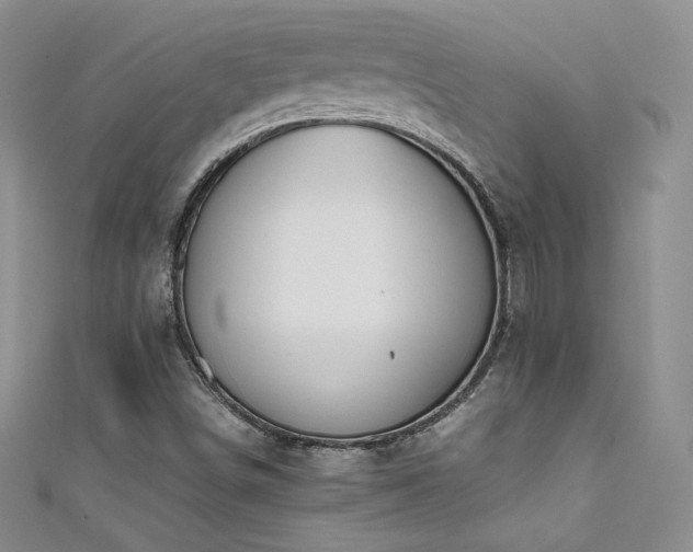 X0000111491498200907141227