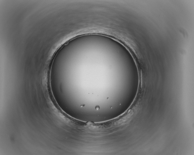 X0000111491500200907141228