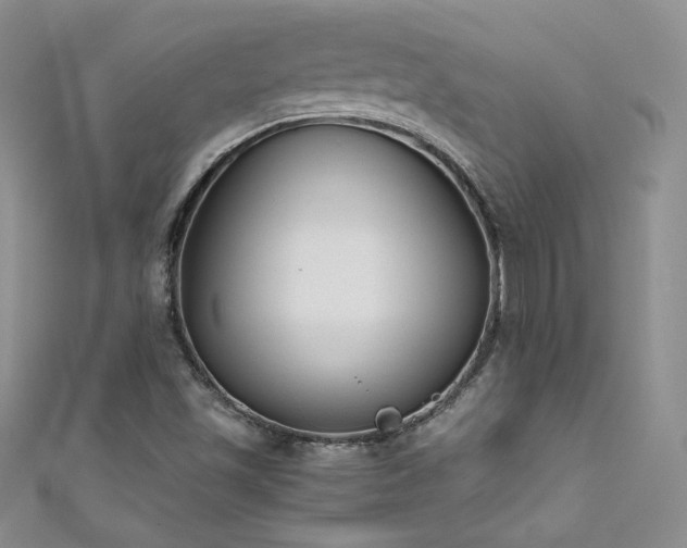 X0000111491501200907141228