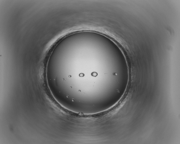 X0000111491502200907141228