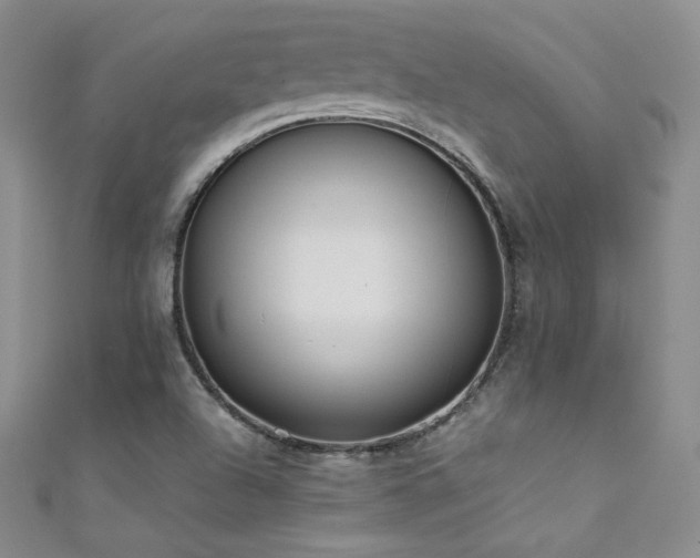 X0000111491504200907141228
