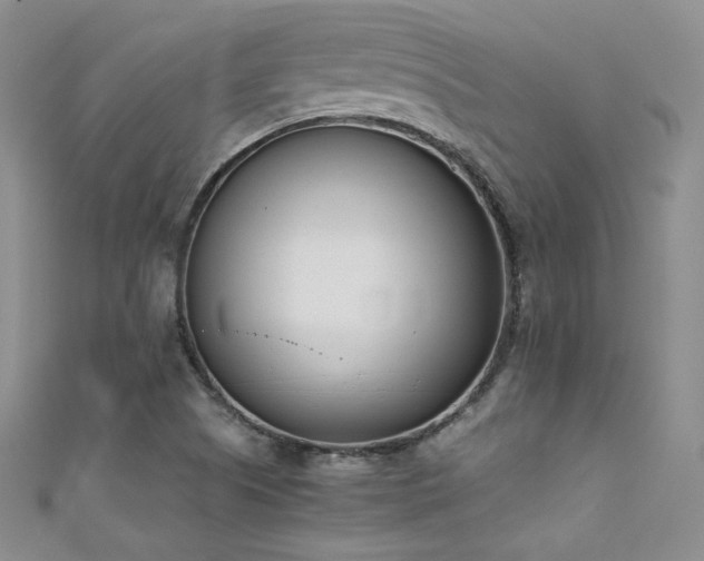 X0000111491505200907141228