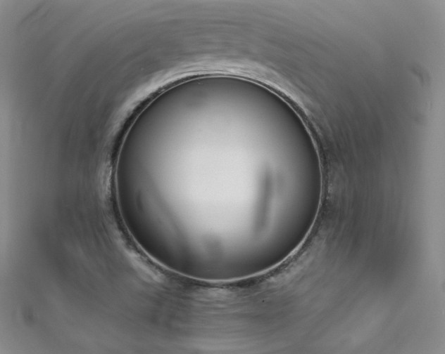 X0000111491507200907141228