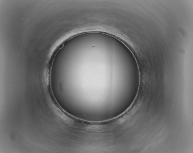 X0000111491510200907141228