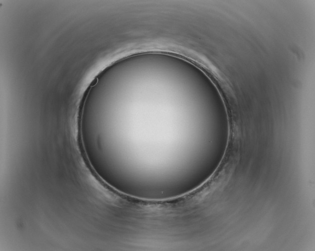 X0000111491512200907141228