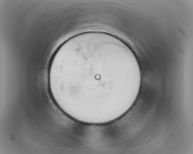 X0000111491514200907141228