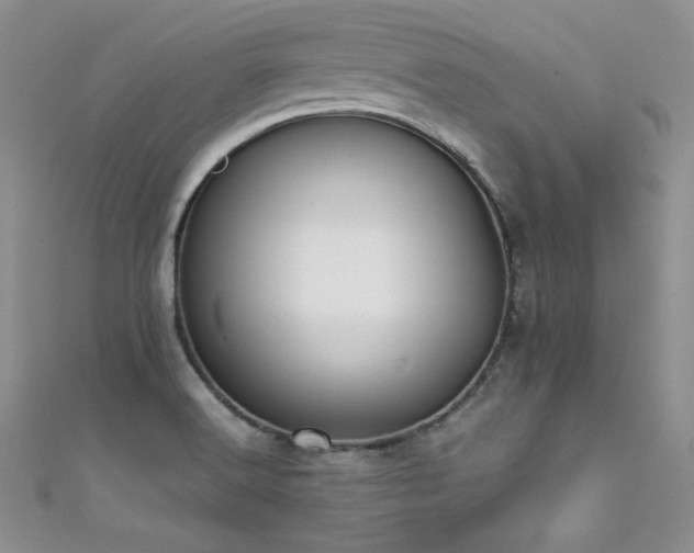X0000111491516200907141228