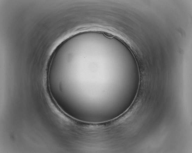 X0000111491518200907141228