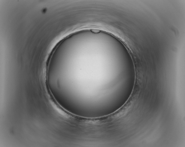 X0000111491519200907141228