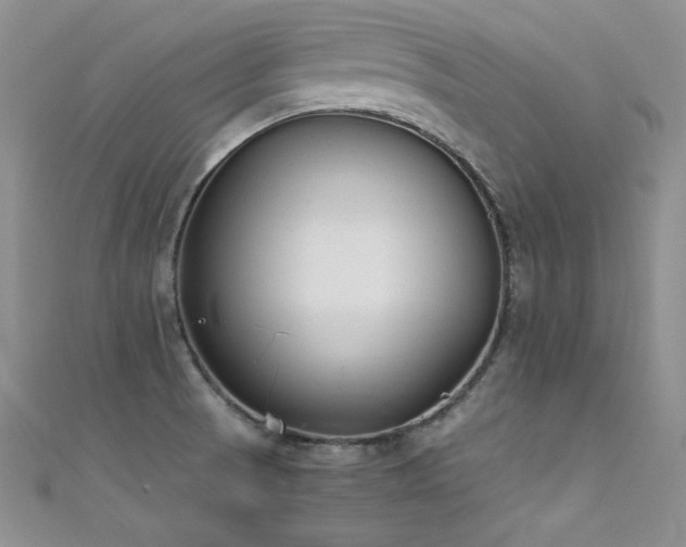 X0000111491521200907141228