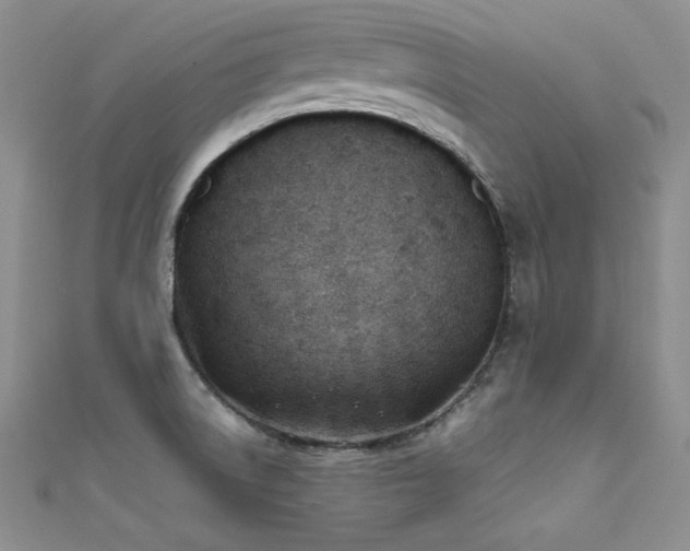 X0000111491522200907141228
