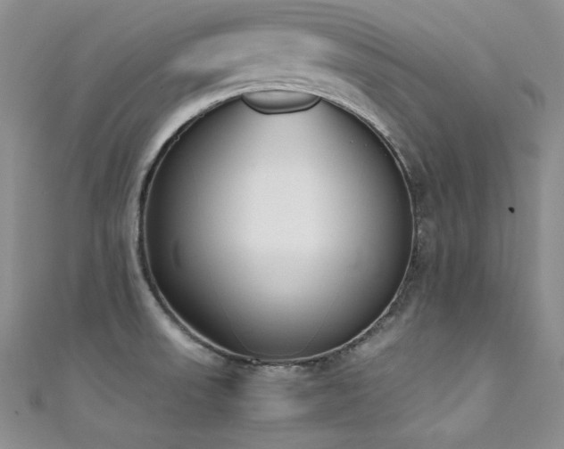 X0000111491523200907141228