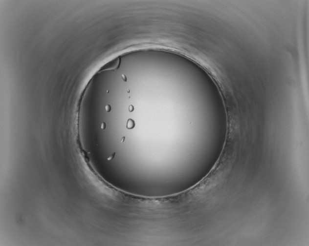 X0000111491524200907141228