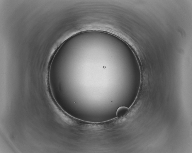 X0000111491525200907141228