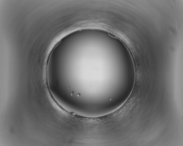 X0000111491528200907141228