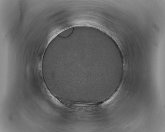X0000111491529200907141228