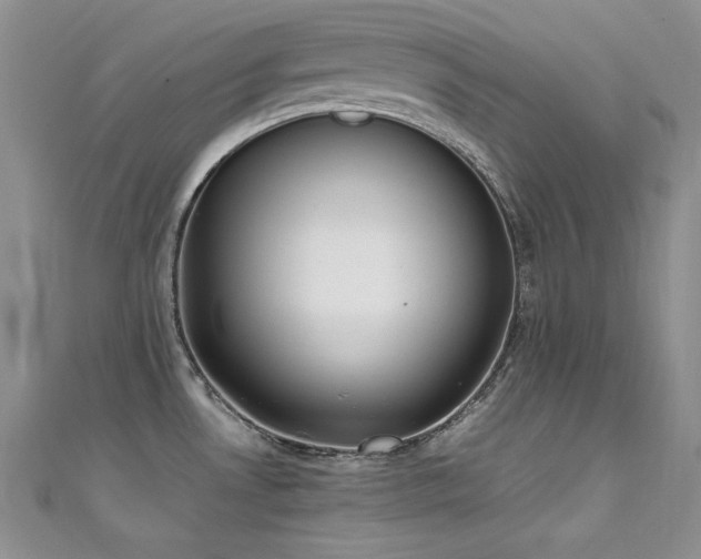 X0000111491530200907141228