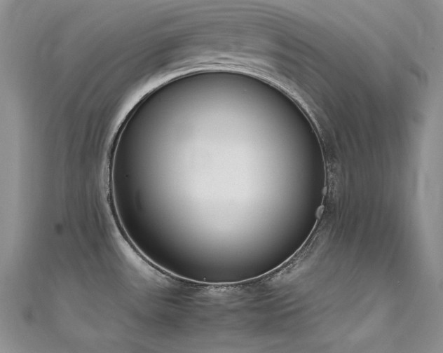X0000111491531200907141228
