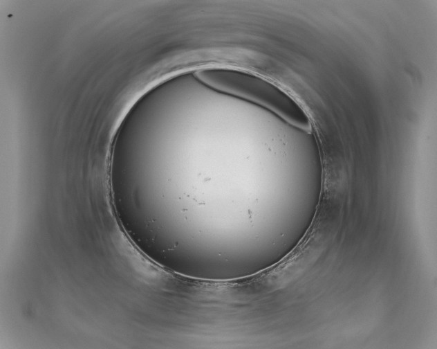 X0000111491532200907141228
