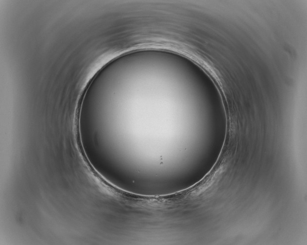 X0000111491533200907141228