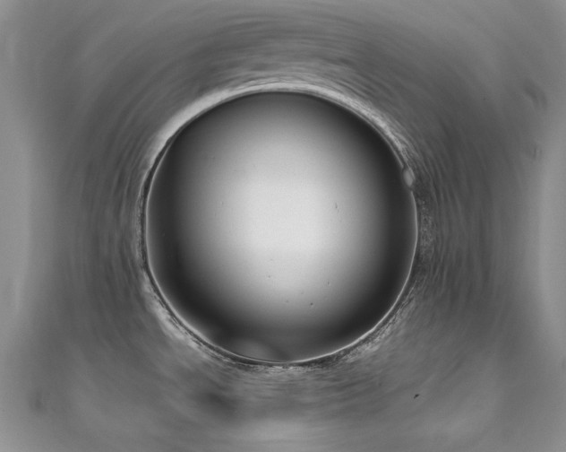 X0000111491534200907141228