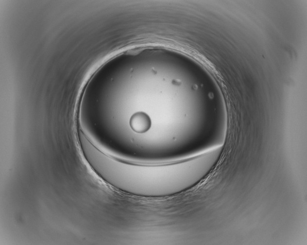 X0000111491536200907141228