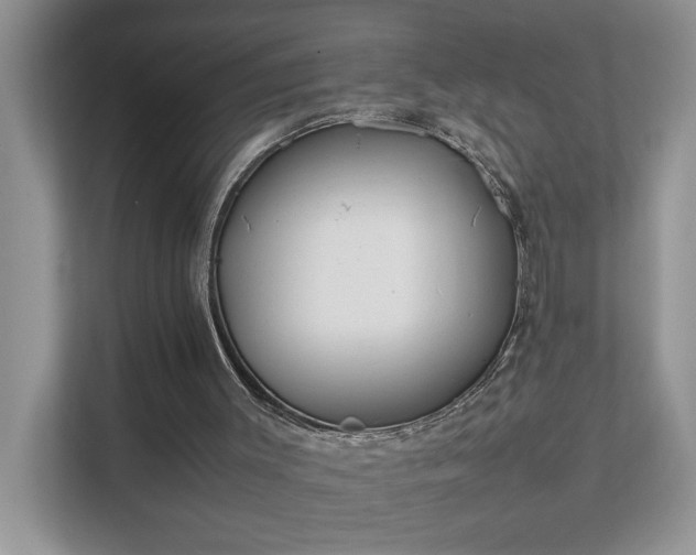 X0000111490003200907211019