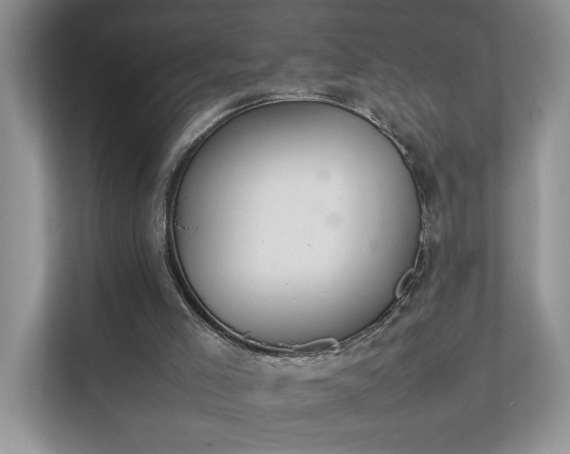 X0000111490005200907211019