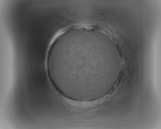 X0000111490006200907211019