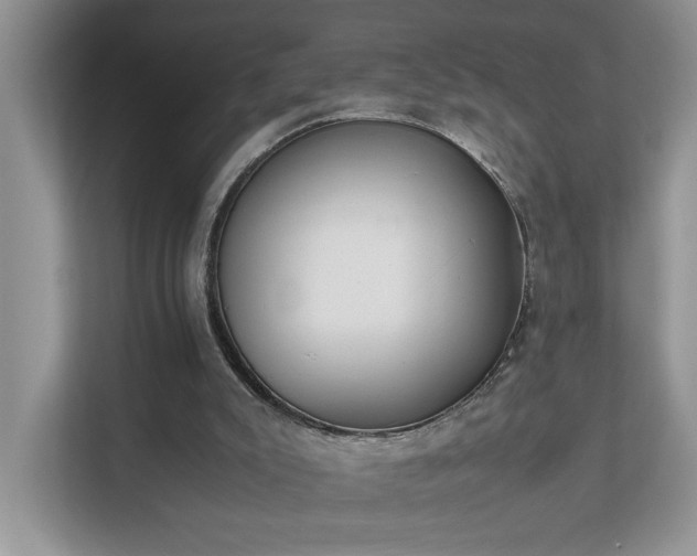 X0000111490007200907211019