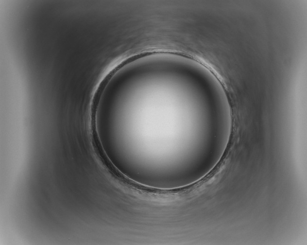 X0000111490008200907211019