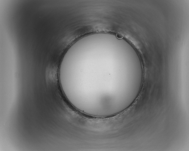 X0000111490009200907211019