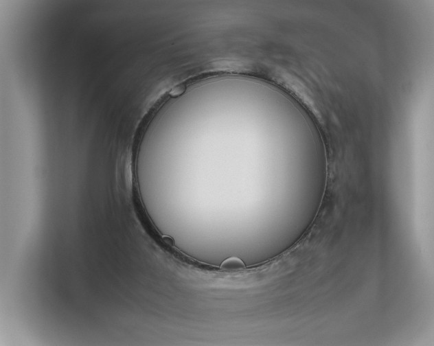 X0000111490011200907211019