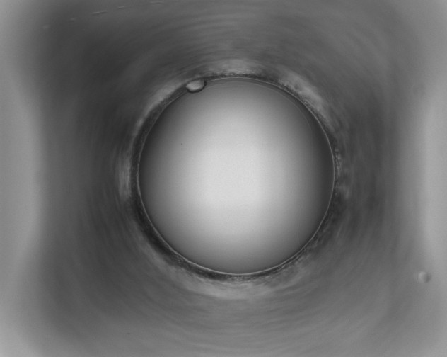 X0000111490012200907211019